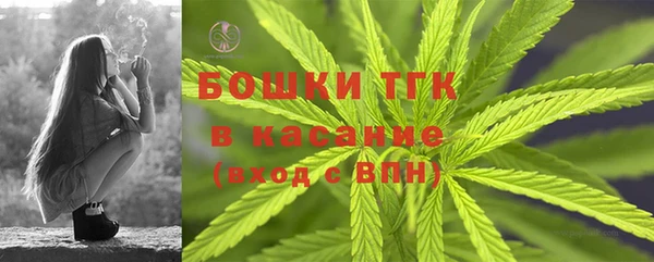 бошки Вязьма